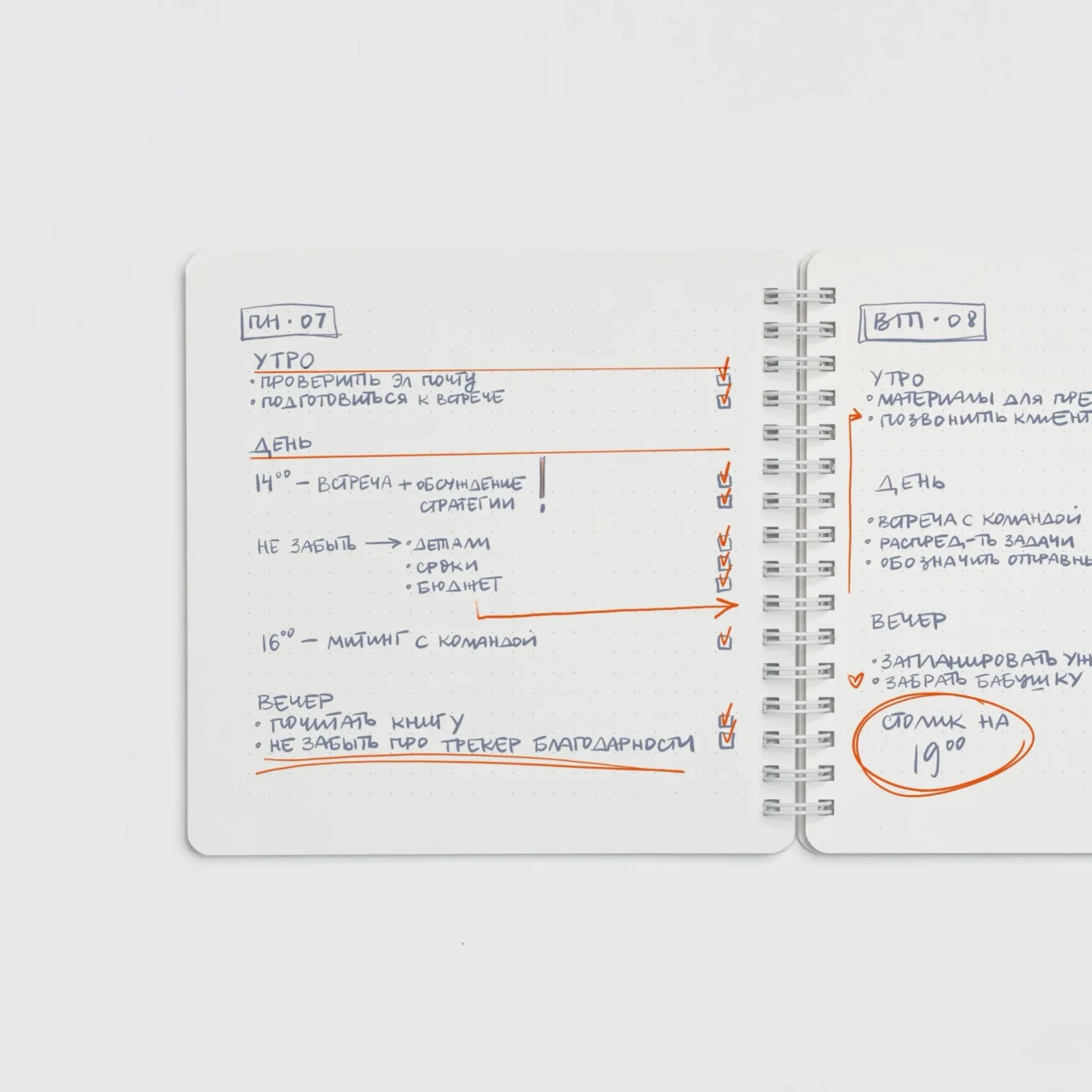 Блокнот в точку с прозрачной обложкой 15×15 см Blank — изображение 6